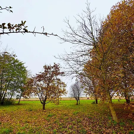 Le Mazal Comfort & Calm Near Strasbourg 가이스폴쉐임
