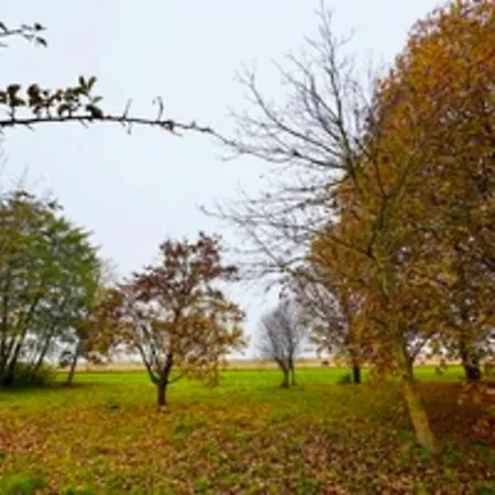 Le Mazal Comfort & Calm Near Strasbourg 가이스폴쉐임