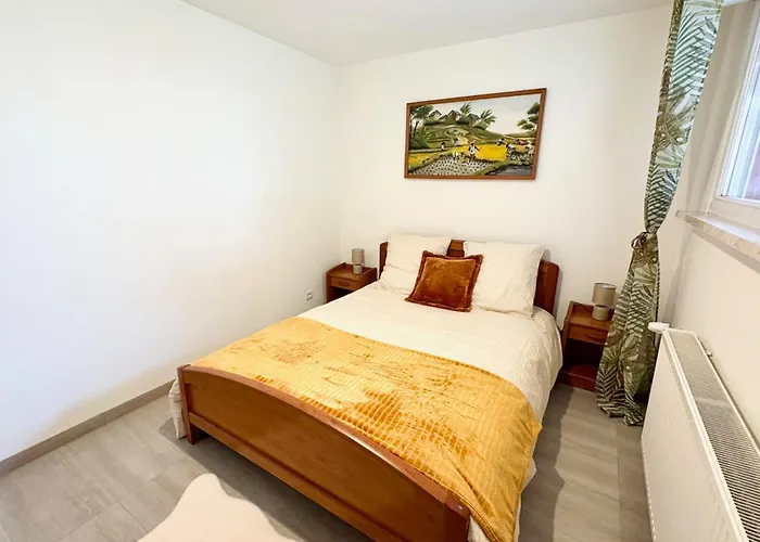 Le Mazal Confort&calme Aux Portes De Strasbourg Appartement