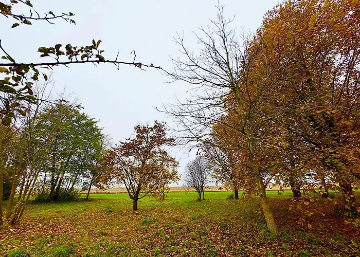Le Mazal Confort&calme Aux Portes De Strasbourg Geispolsheim