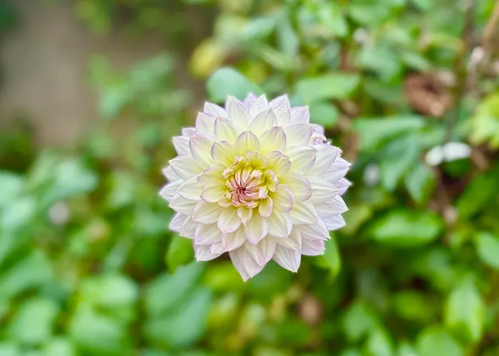 Le Mazal Confort&calme Aux Portes De Strasbourg Appartement *