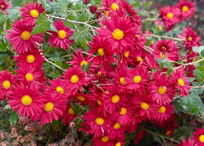 Le Mazal Confort&calme Aux Portes De Strasbourg *