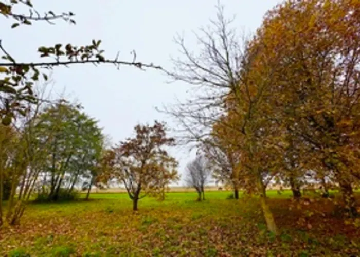 Le Mazal Confort&calme Aux Portes De Strasbourg Geispolsheim